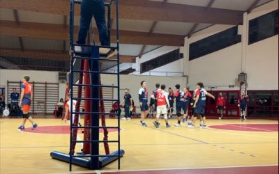 Serie DM – Vittoria Casalinga