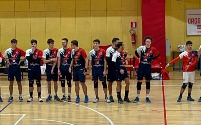 Serie DM – Passo spedito